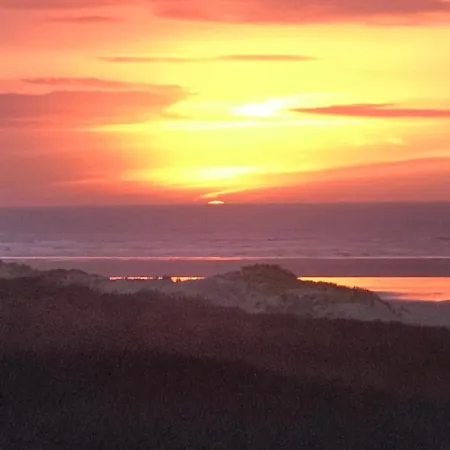 Formentera In De Duinen Aan Zee IJmuiden