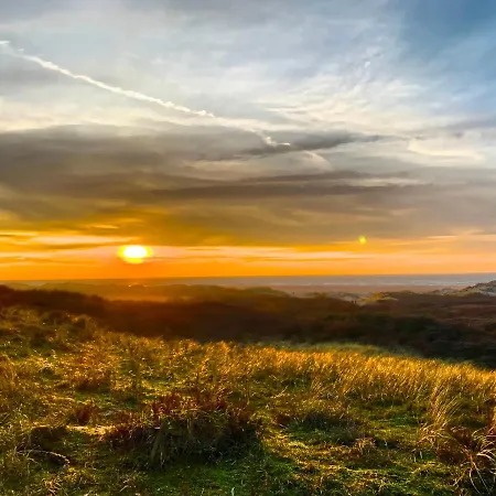Formentera In De Duinen Aan Zee IJmuiden