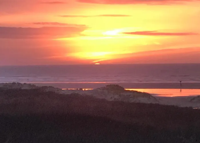 Formentera In De Duinen Aan Zee Эймейден