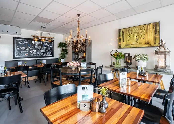 Formentera In De Duinen Aan Zee * IJmuiden