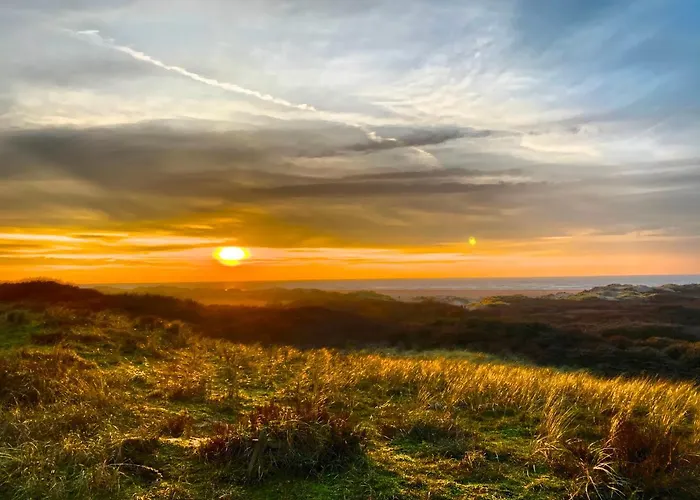 Formentera In De Duinen Aan Zee IJmuiden